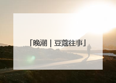 晚潮｜豆蔻往事