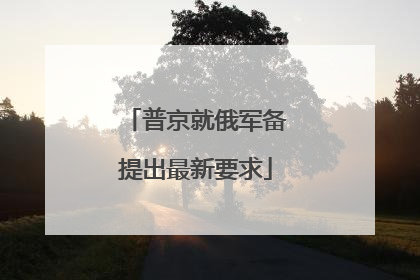 普京就俄军备提出最新要求