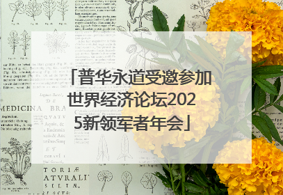 普华永道受邀参加世界经济论坛2025新领军者年会