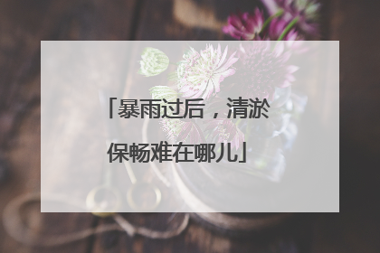 暴雨过后，清淤保畅难在哪儿