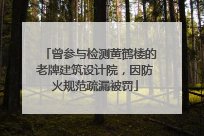 曾参与检测黄鹤楼的老牌建筑设计院，因防火规范疏漏被罚