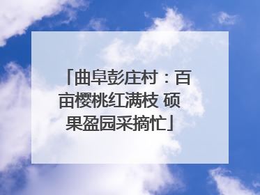 曲阜彭庄村：百亩樱桃红满枝 硕果盈园采摘忙
