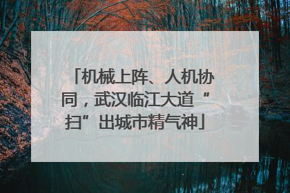 机械上阵、人机协同，武汉临江大道“扫”出城市精气神