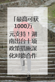 最高可获1000万元支持！湖南出台十项政策措施深化对德合作