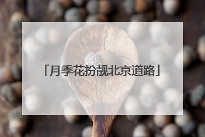 月季花扮靓北京道路