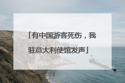 有中国游客死伤，我驻意大利使馆发声