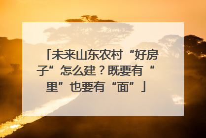 未来山东农村“好房子”怎么建？既要有“里”也要有“面”