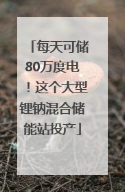 每天可储80万度电！这个大型锂钠混合储能站投产