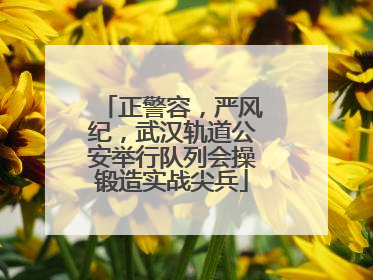 正警容，严风纪，武汉轨道公安举行队列会操锻造实战尖兵