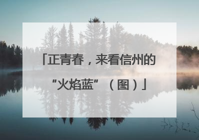 正青春，来看信州的“火焰蓝”（图）