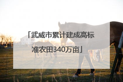 武威市累计建成高标准农田340万亩