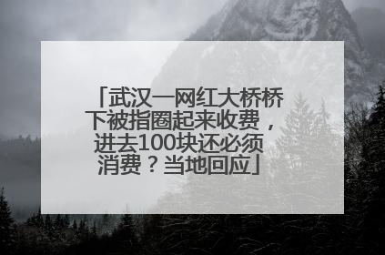 武汉一网红大桥桥下被指圈起来收费，进去100块还必须消费？当地回应
