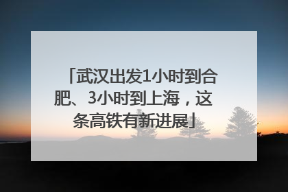 武汉出发1小时到合肥、3小时到上海，这条高铁有新进展