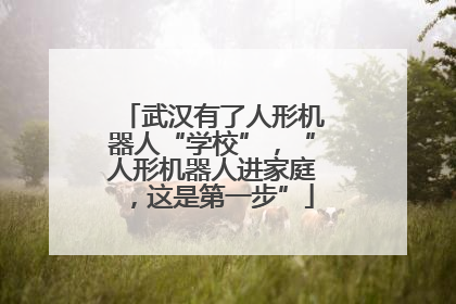 武汉有了人形机器人“学校”，“人形机器人进家庭，这是第一步”