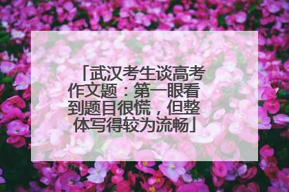 武汉考生谈高考作文题：第一眼看到题目很慌，但整体写得较为流畅