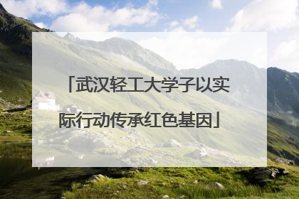 武汉轻工大学子以实际行动传承红色基因
