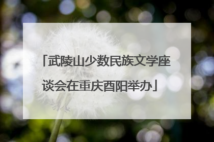 武陵山少数民族文学座谈会在重庆酉阳举办
