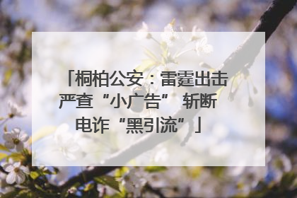 桐柏公安：雷霆出击严查“小广告” 斩断电诈“黑引流”