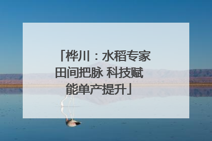 桦川：水稻专家田间把脉 科技赋能单产提升