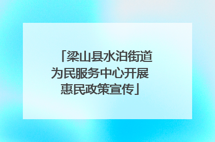 梁山县水泊街道为民服务中心开展惠民政策宣传