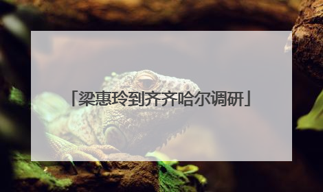 梁惠玲到齐齐哈尔调研