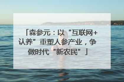 森参元：以“互联网+认养”重塑人参产业，争做时代“新农民”