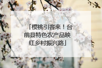樱桃引客来！台前县特色农产品映红乡村振兴路