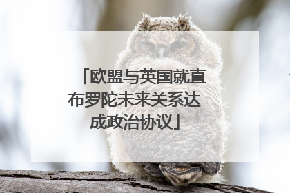 欧盟与英国就直布罗陀未来关系达成政治协议