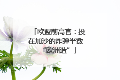 欧盟前高官：投在加沙的炸弹半数“欧洲造”