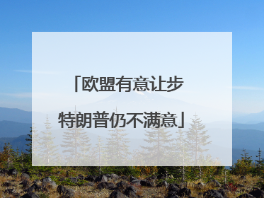 欧盟有意让步 特朗普仍不满意