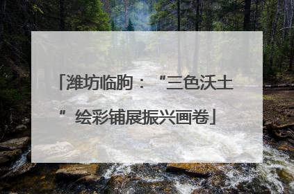 潍坊临朐：“三色沃土”绘彩铺展振兴画卷