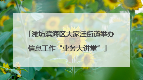 潍坊滨海区大家洼街道举办信息工作“业务大讲堂”