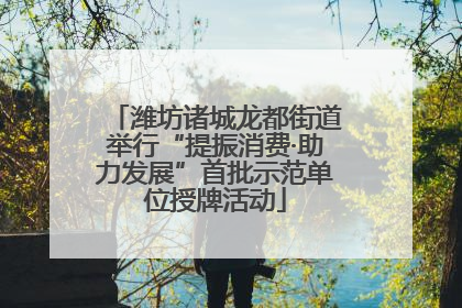 潍坊诸城龙都街道举行“提振消费·助力发展”首批示范单位授牌活动