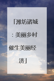潍坊诸城：美丽乡村催生美丽经济
