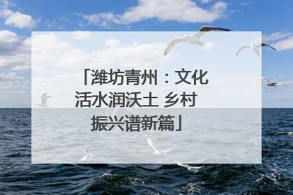 潍坊青州：文化活水润沃土 乡村振兴谱新篇