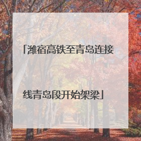 潍宿高铁至青岛连接线青岛段开始架梁