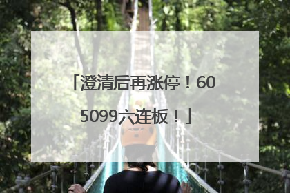 澄清后再涨停！605099六连板！