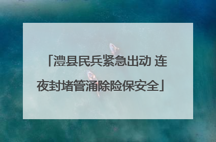 澧县民兵紧急出动 连夜封堵管涌除险保安全