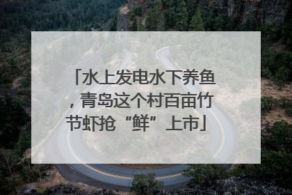 水上发电水下养鱼，青岛这个村百亩竹节虾抢“鲜”上市