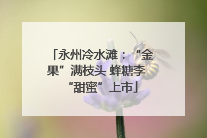 永州冷水滩：“金果”满枝头 蜂糖李“甜蜜”上市