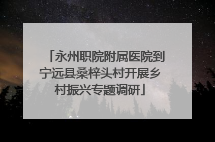永州职院附属医院到宁远县桑梓头村开展乡村振兴专题调研