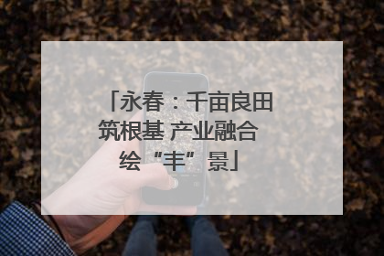 永春：千亩良田筑根基 产业融合绘“丰”景