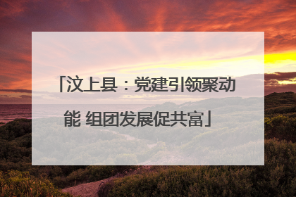 汶上县：党建引领聚动能 组团发展促共富