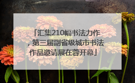 汇集210幅书法力作，第三届副省级城市书法作品邀请展在蓉开幕