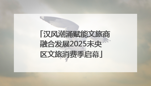 汉风潮涌赋能文旅商融合发展2025未央区文旅消费季启幕
