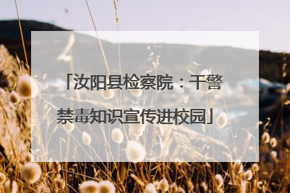 汝阳县检察院：干警禁毒知识宣传进校园