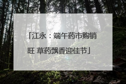 江永：端午药市购销旺 草药飘香迎佳节