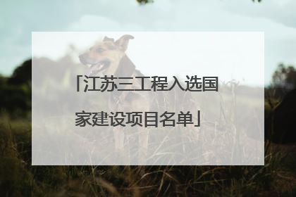 江苏三工程入选国家建设项目名单