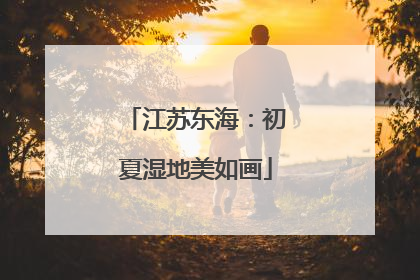 江苏东海：初夏湿地美如画
