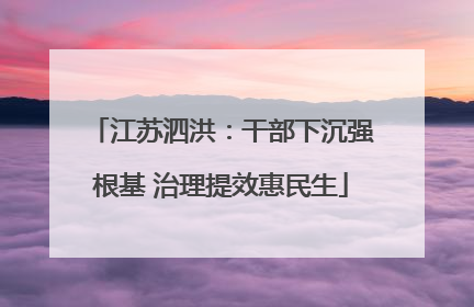 江苏泗洪：干部下沉强根基 治理提效惠民生